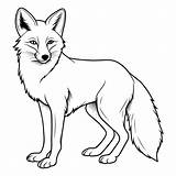 Fox coloring page For Kids 25947054 Vector Art At Vecteezy sketch template
