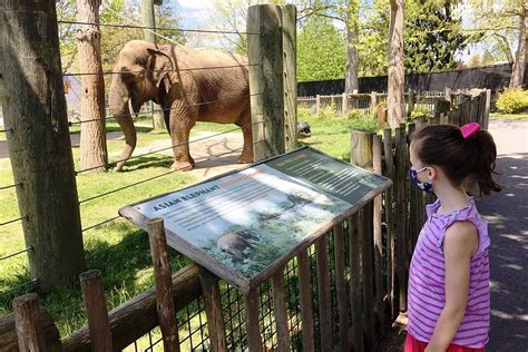 Buttonwood Park Zoo to Reopen in June