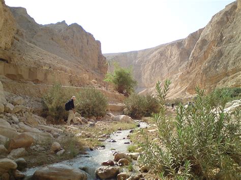 Water Stream - Wadi al-Hasa | Wadi al Hasa in the south of J… | Flickr