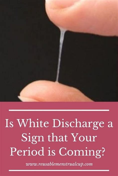 Egg White Discharge Before Period Sign Of Pregnancy at Maggie Eldridge blog