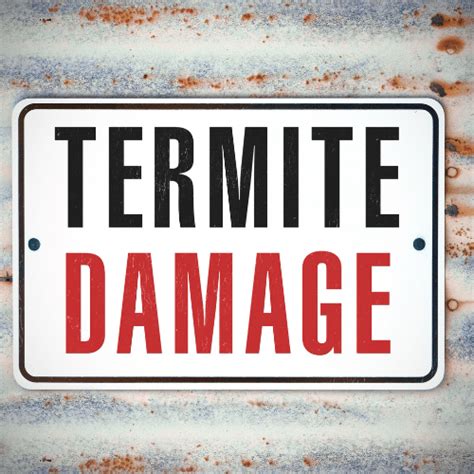 Understanding Termite Damage: Spot the Signs! | Pest Busterzz