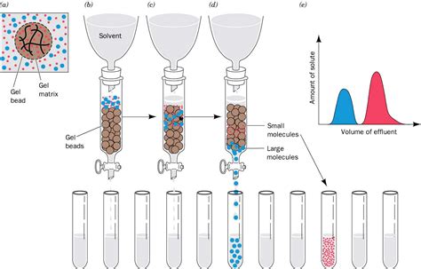 My Scientific Blog - Research and Articles: GEL FILTRATION