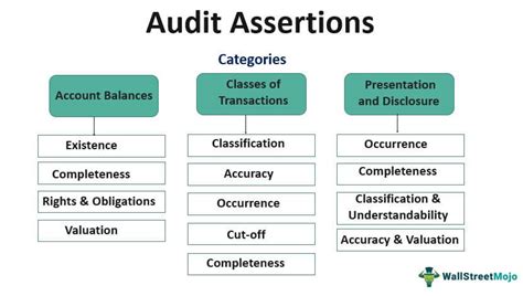 Afirmații de audit - invatatiafaceri.ro