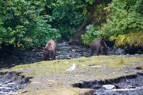 How to Spend 1, 2 or 3 Days in Valdez, Alaska — Handpicked Alaska