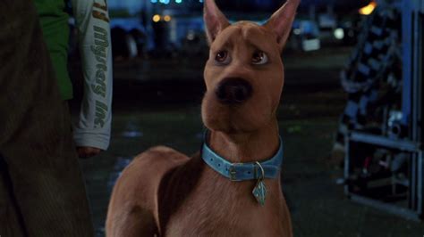Scooby Doo 2: Monsters Unleashed - Scooby-Doo Image (21158054) - Fanpop