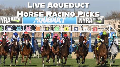 Live Aqueduct Horse Racing Picks - YouTube