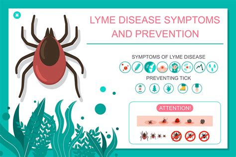 Lyme Disease: The Causes, Symptoms And Treatments | Glamour UK