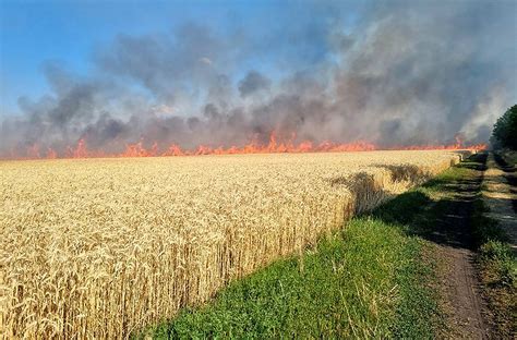 Ukraińskie zboże rozsypane na granicy. „To nie mogli być Polacy” - OKO.press