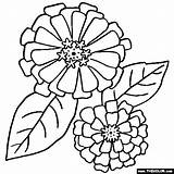 Flower Coloring Pages  Color Flowers Online sketch template