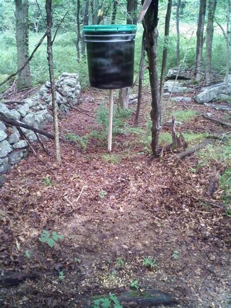 Homemade Deer Feeders 5 Gallon Bucket - Homemade Ftempo