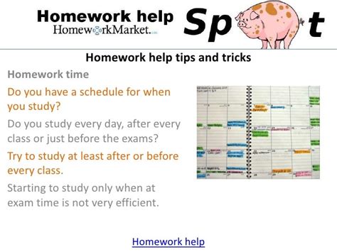 Homework Help Tips And Tricks