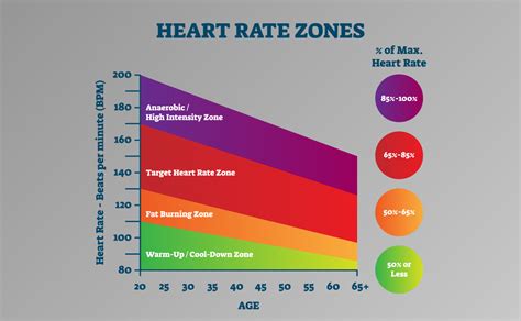 Heart Rate Training Zones | Austin Fit Magazine – Inspiring Austin Residents to Be Fit, Healthy ...