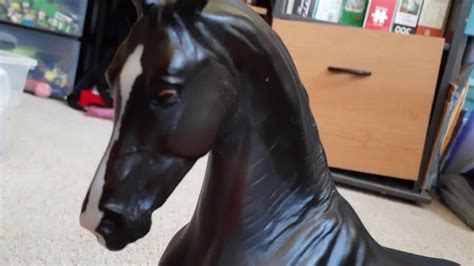 Breyer Valegro Review - YouTube