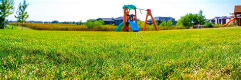 Panoramic Ground Level View of a Suburb Residential Backyard Stock Image - Image of outdoor ...