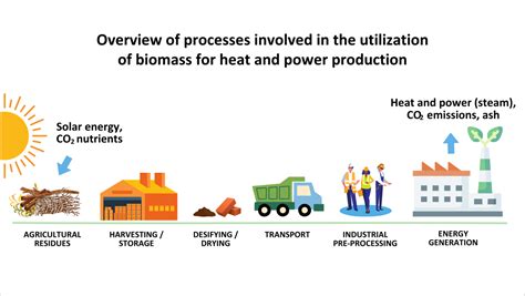 Using cutting-edge technology to accelerate the growth of Türkiye’s bioenergy sector | UNIDO