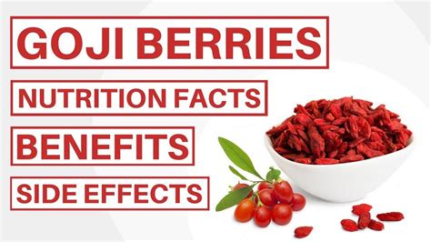 Goji Berries, Nutrition Facts, Red Peppercorn, Health Benefits, Red Orange, Herbs, Beef, The ...