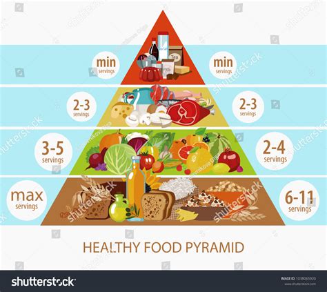 Food Pyramid Daily Intake Food Recommended 库存矢量图（免版税）1038065920 ...