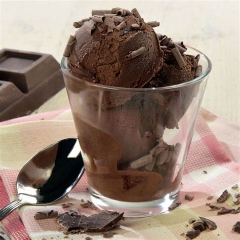 Homemade Dark Chocolate Ice Cream - Brown Thumb Mama®