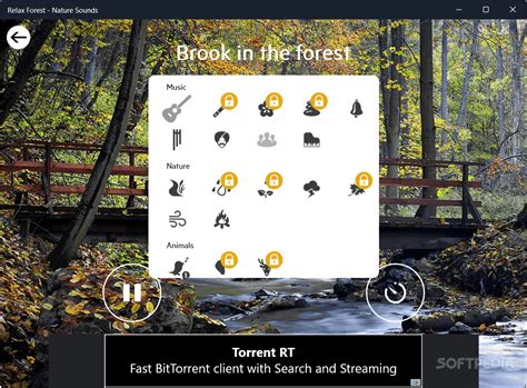 Relax Forest - Nature sounds 1.0.6.0 - Download, Review, Screenshots