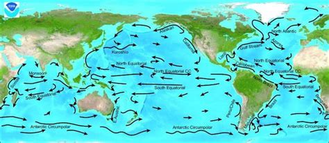 CONSEQUENCES OF CLIMATE CHANGE — ON ANIMALS, PLANTS, FARMS AND OCEAN CURRENTS | Facts and Details