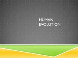 PPT - Human Evolution PowerPoint Presentation