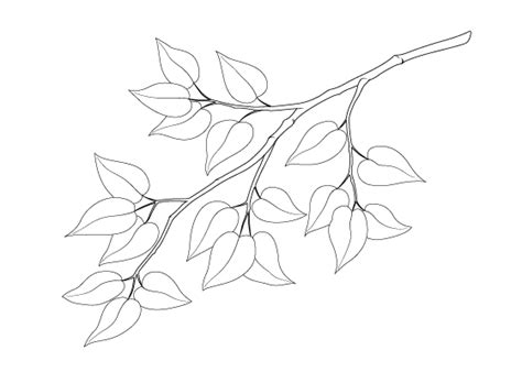 How to Draw a Tree Branch With Leaves - EasyDrawingTips