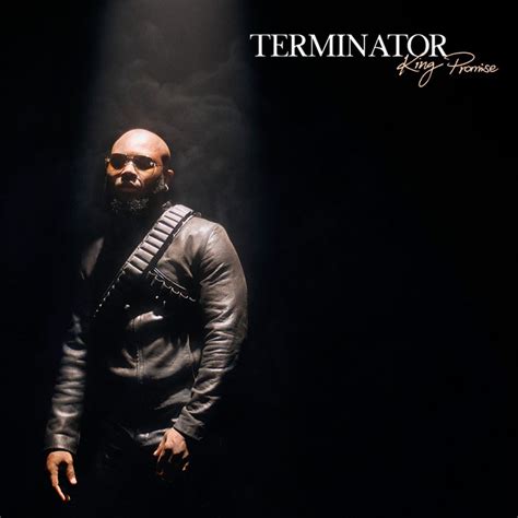 Terminator - Single by King Promise | Spotify