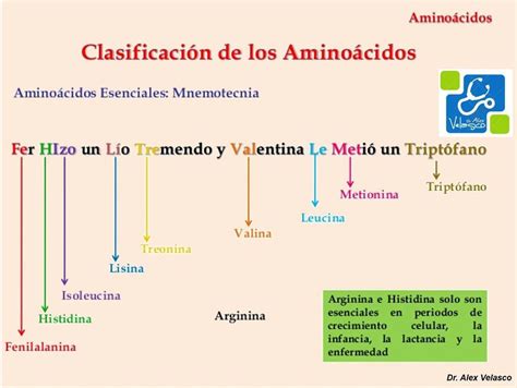 Aminoácidos