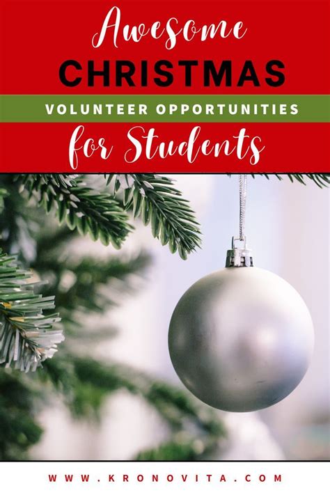 10 best virtual volunteer ideas for students – Artofit