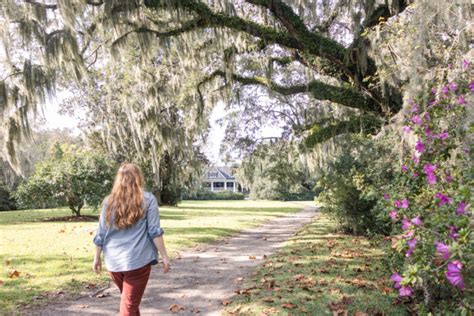 Exploring Magnolia Plantation and Gardens in Charleston - Life Full of Light