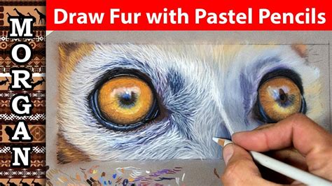 How to draw fur with pastel pencils - YouTube