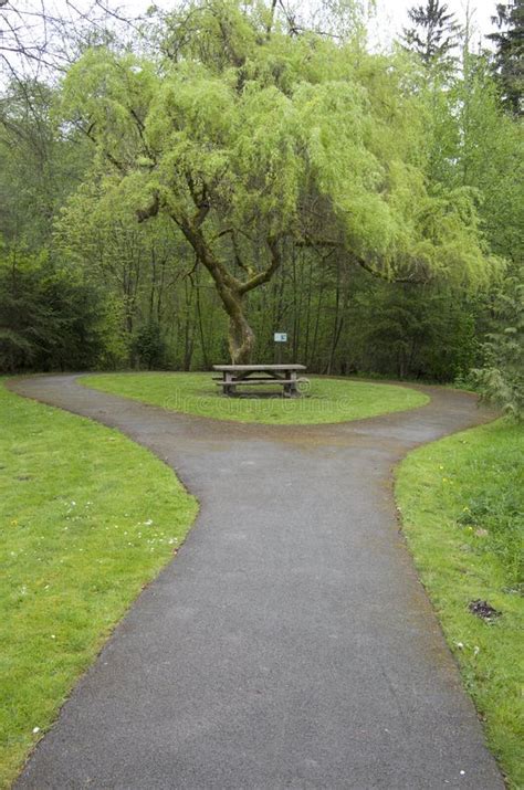 Spring park picnic stock photo. Image of picnic, green - 40279602