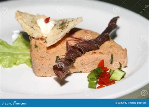 Dried Meat Dish stock photo. Image of tasty, meal, dried - 9039940