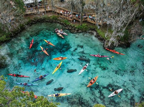 Three Sisters Spring (Crystal River, FL) | 旅行のインスピレーション, 景色, 旅行