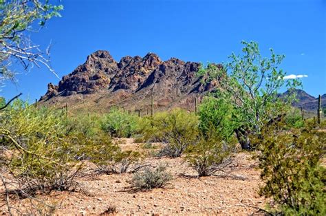 Saturday event to introduce Ironwood Forest National Monument | Local ...