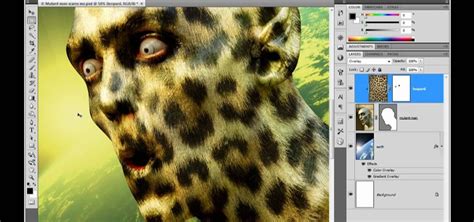 How to Use the Undo, History & Revert tools in Photoshop « Photoshop ...