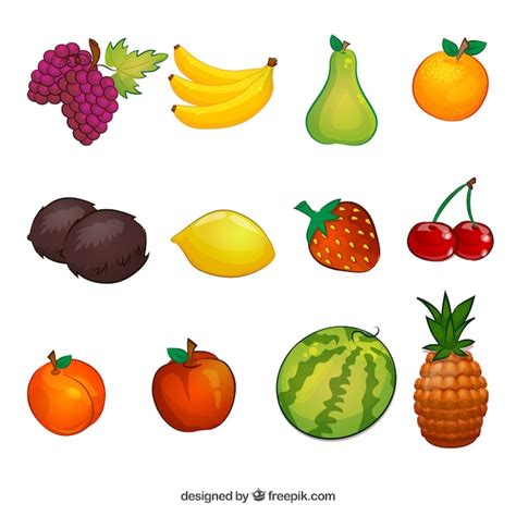 Fruit illustrations collection - Stock Image - Everypixel