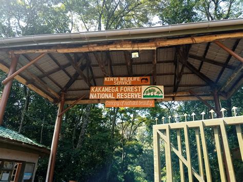 Hike 032: Kakamega Forest – Hiking Adventures