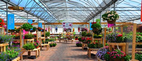 Garden Centre - Quality Plants & Supplies - Johnston's Greenhouse