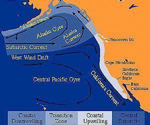 California Current - Alchetron, The Free Social Encyclopedia