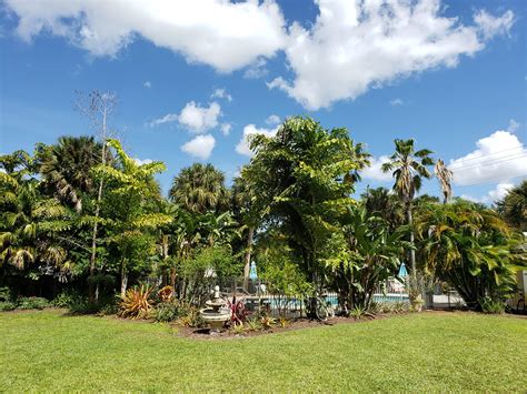 A beautiful day - Seminole Inn Restaurant