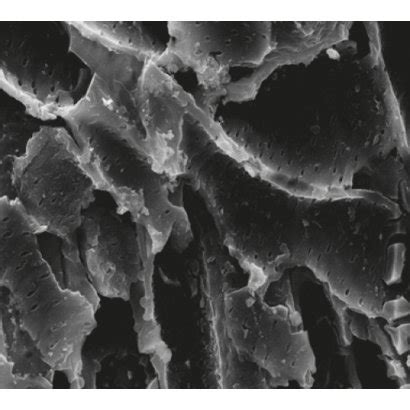 SEM images of (a) pyrolytic carbon and (b) activated carbon. | Download ...