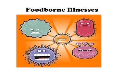 CDC names top five foodborne illnesses in United States | Food Safety News