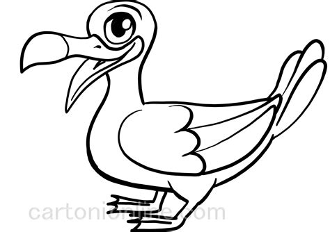 Albatross cartoon coloring page