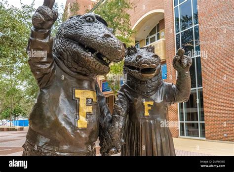 University of Florida mascots, Albert and Alberta Gator, facing Ben Hill Griffin Stadium from ...