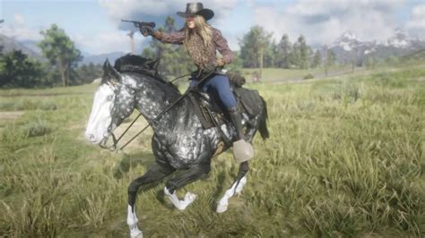 Custom Horse Coats | The Red Dead Redemption Amino