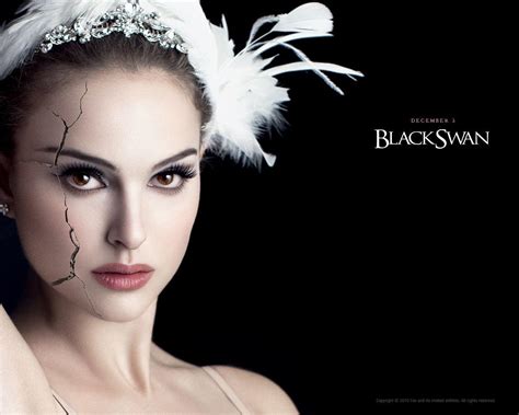 Black Swan Wallpapers - Wallpaper Cave