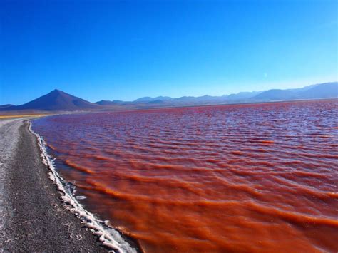 Laguna colorada Bolivia - Photorator