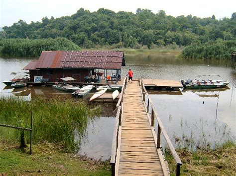 Hakimah Suhaimi: Destination 12~ Chini Lake-tasik chini(Pahang)