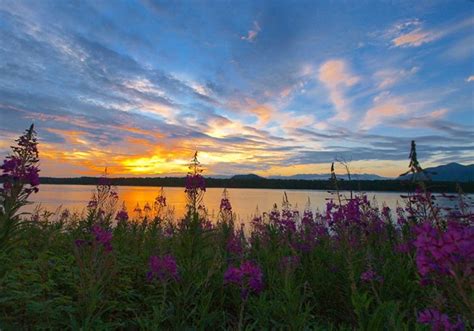 6 Awesome Alaska Summer Sunsets. Number 6 Shows You What Its Like - I Love Alaska